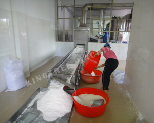 Defatted Desiccated Coconut Drying Machine